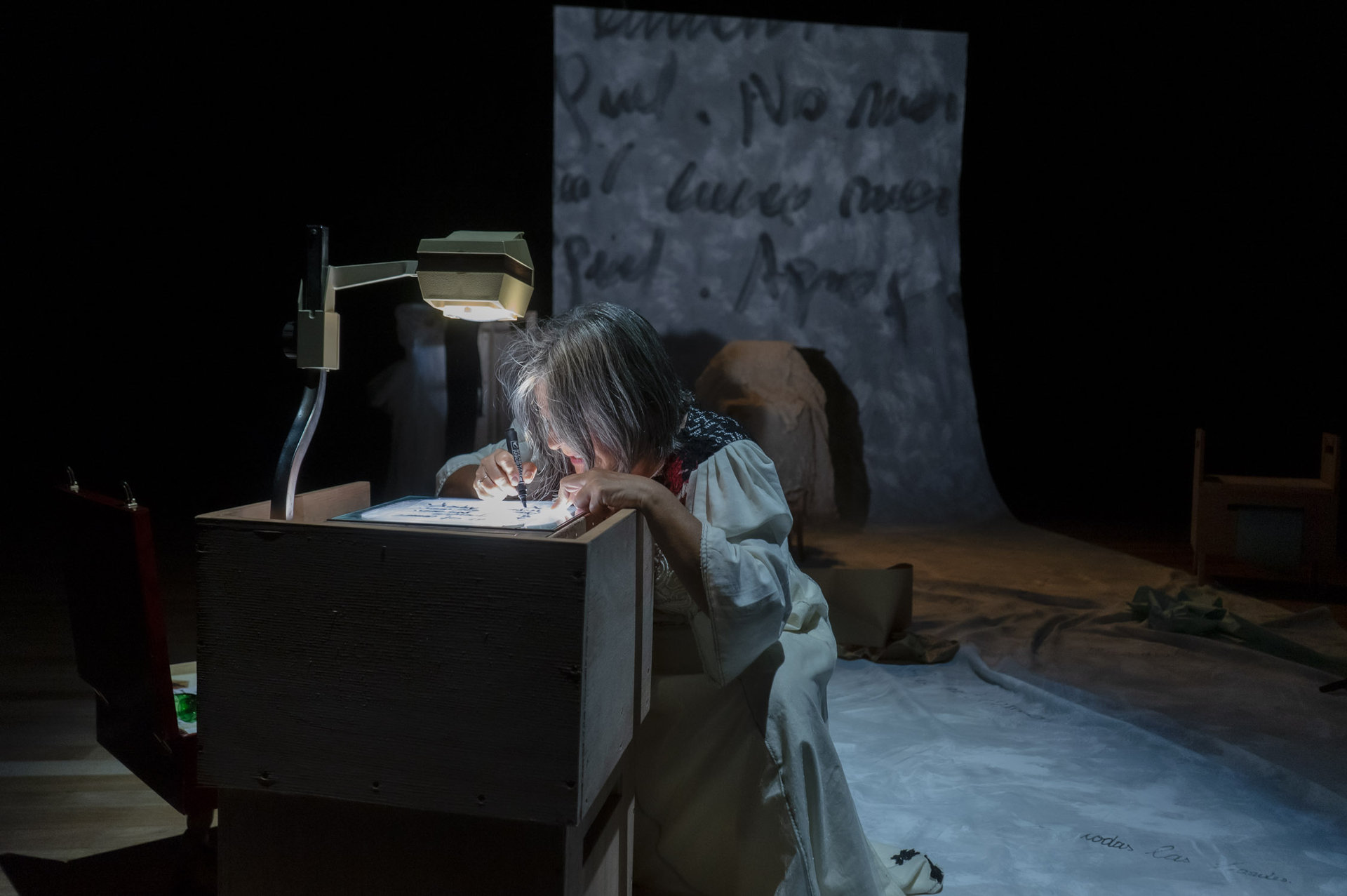 Lenguajes híbridos e intermedialidades en el teatro: texto, gesto, imagen