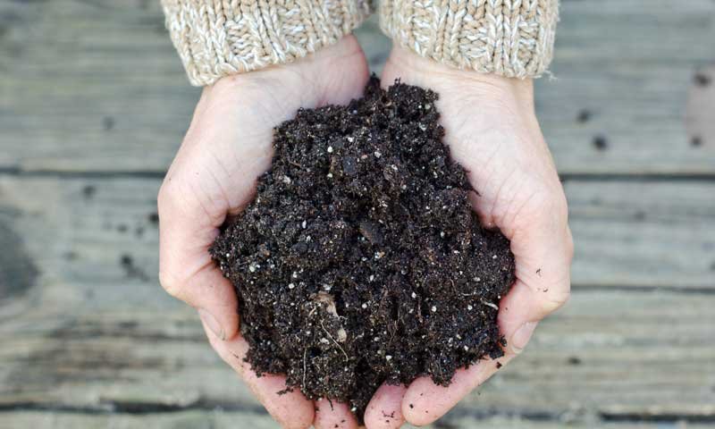 Compost ciudadano