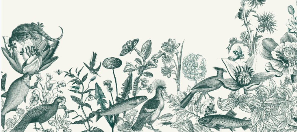 En octubre: Macondo En octubre: Macondo
