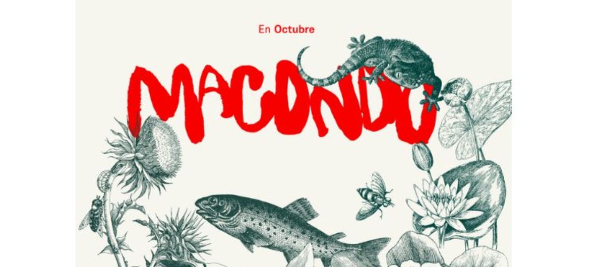 Vení con tu grupo a ver “Macondo” Vení con tu grupo a ver “Macondo”
