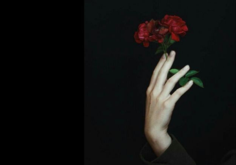Las rosas de Luisa