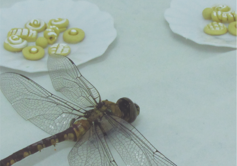 Las hermanas Di Giorgio